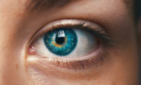 Cashflow Forecasting