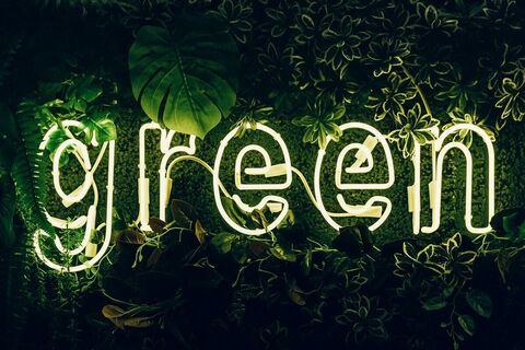 5 quicks wins for a greener business