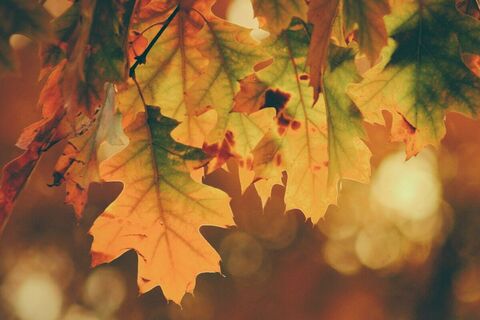 Jeremy Hunts Autumn statement 2022