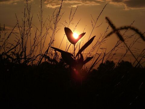 5 vital things to set up before you pass away