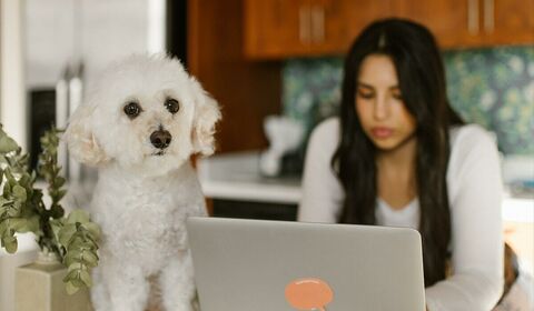 What home office expenses are deductible for your business