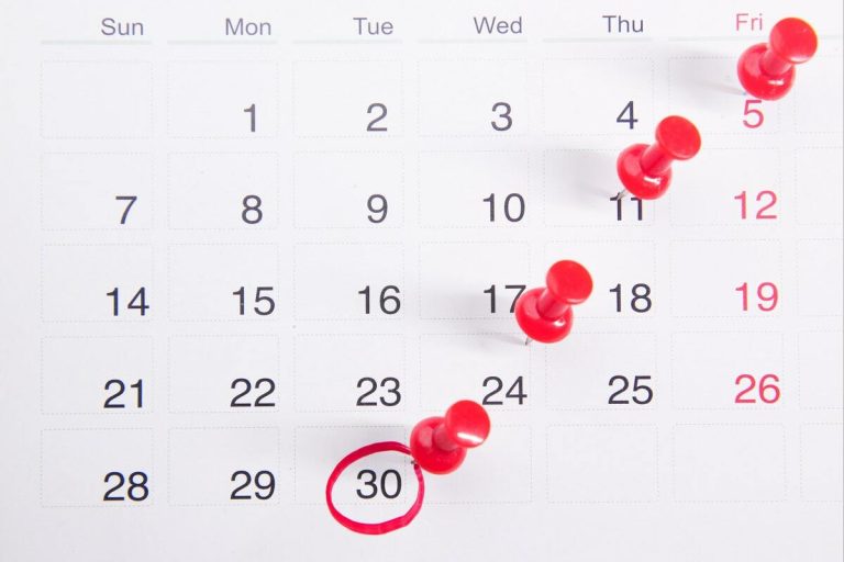 Your Q3 2022 deadlines for the diary