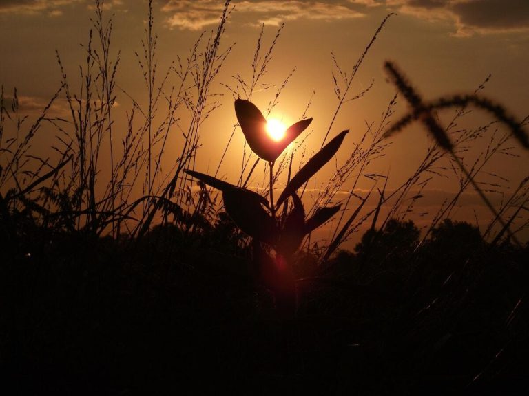 5 vital things to set up before you pass away