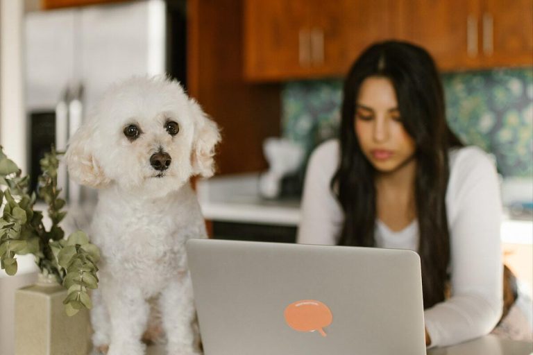 What home office expenses are deductible for your business