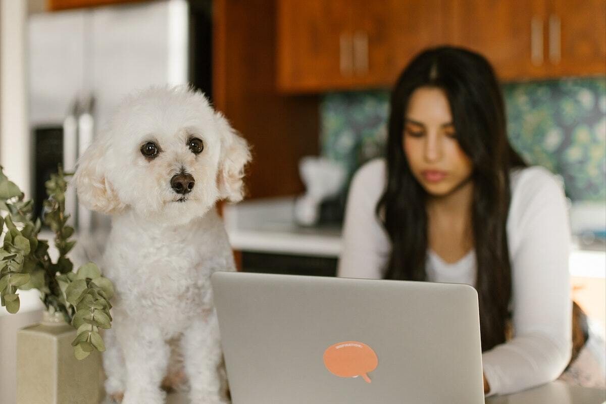 What home-office expenses are deductible for your business?