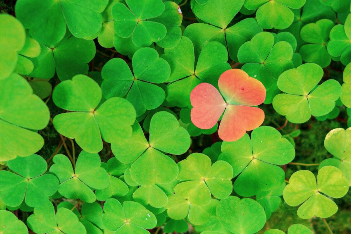 How to embrace neurodiversity in your team