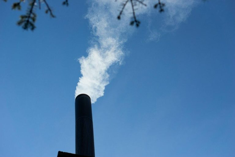 Climate-Proofing SMEs: positive steps your business can take